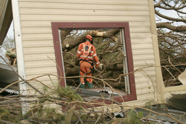 How Our Tree Care Process Works  in  Britt, IA